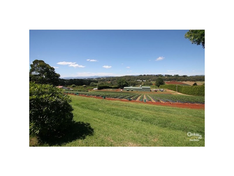 37 Henderson Hill Rd, Silvan VIC 3795