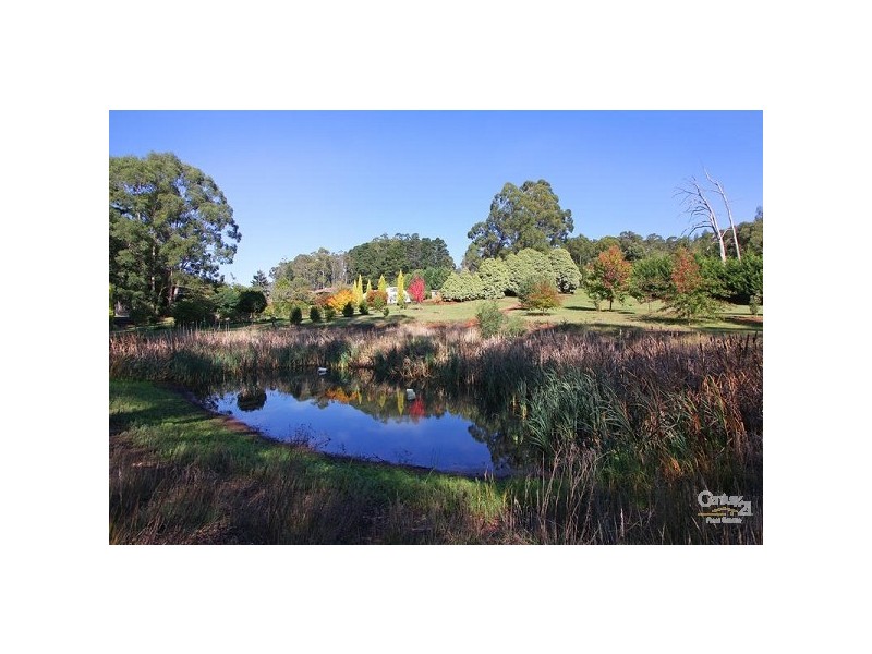 50 Link Road, Silvan VIC 3795