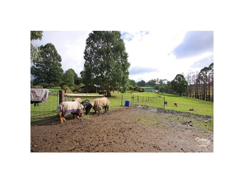 49 Ellison Street, Kinglake VIC 3763