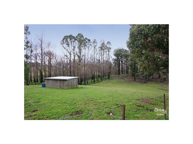 49 Ellison Street, Kinglake VIC 3763