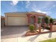 81 Skyline Way, Berwick VIC 3806