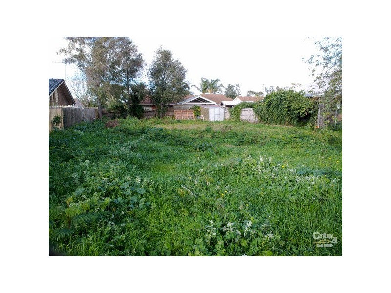 19 Willslie Crescent, Berwick VIC 3806