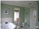 153 Mansfield Street, Berwick VIC 3806