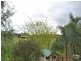 153 Mansfield Street, Berwick VIC 3806