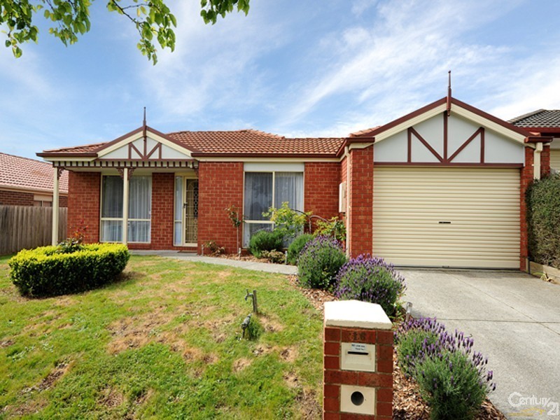 16 Domain Drive, Berwick VIC 3806