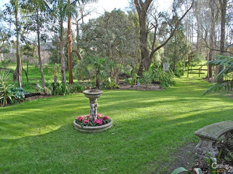 3 Ida Court, Langwarrin VIC 3910