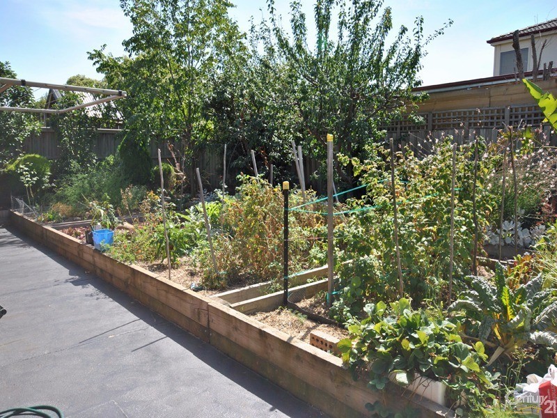 3 Lisson Court, Berwick VIC 3806