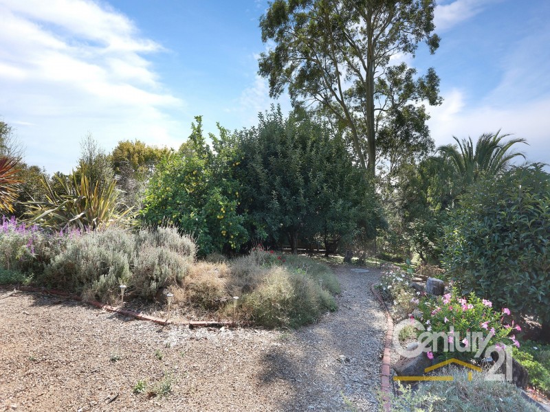 69 Brisbane Street, Berwick VIC 3806