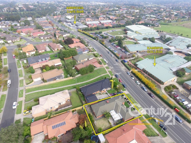 59 Bemersyde Drive, Berwick VIC 3806