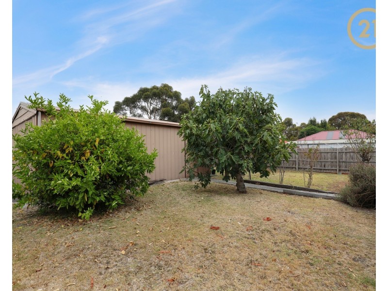 37 Blaxland Avenue, Cranbourne North VIC 3977