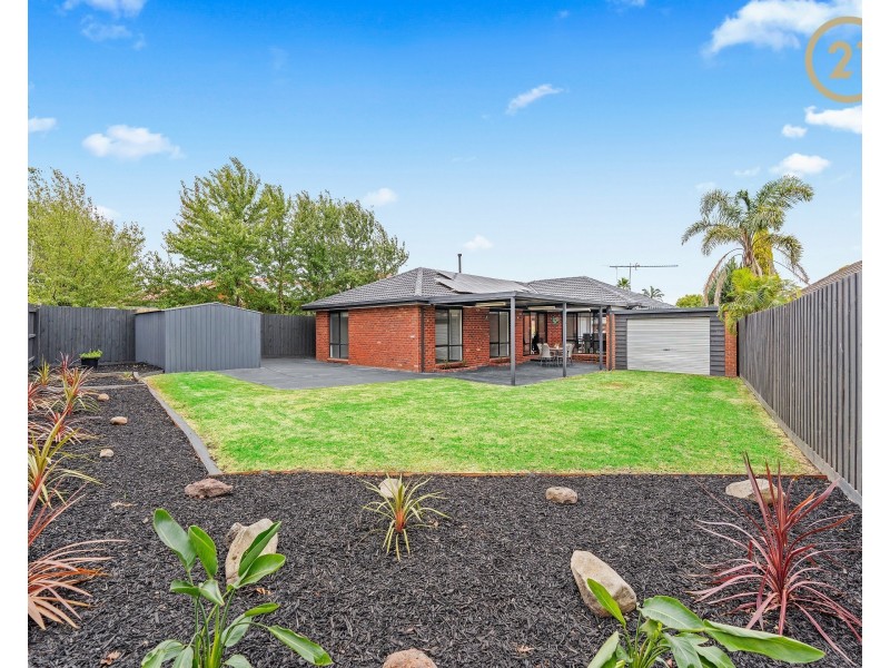 8  Lupin Court, Cranbourne North VIC 3977