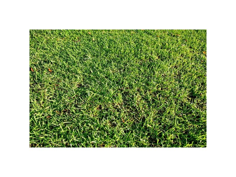 52 McClelland Street, Bell Park VIC 3215