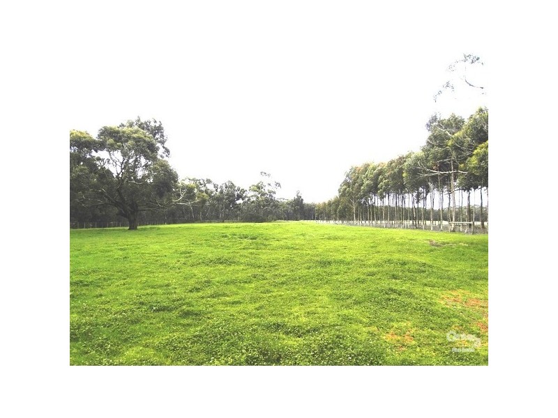 460 Wormbete Station Road, Moriac VIC 3240