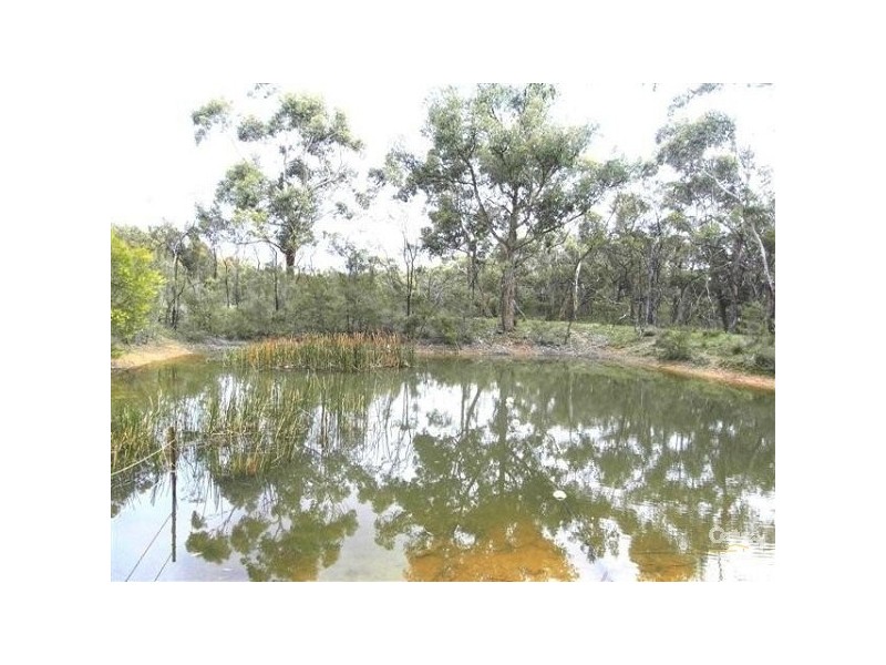 460 Wormbete Station Road,, Gherang VIC 3240
