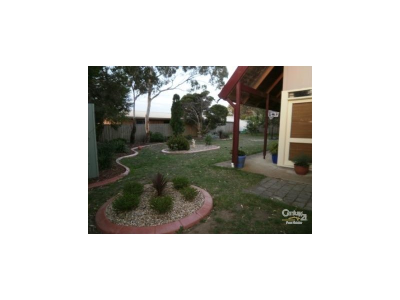 17 Carmichael Court, Leopold VIC 3224