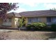 13 Shafer Road, Blackburn North VIC 3130