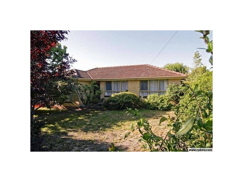 13 Shafer Road, Blackburn North VIC 3130