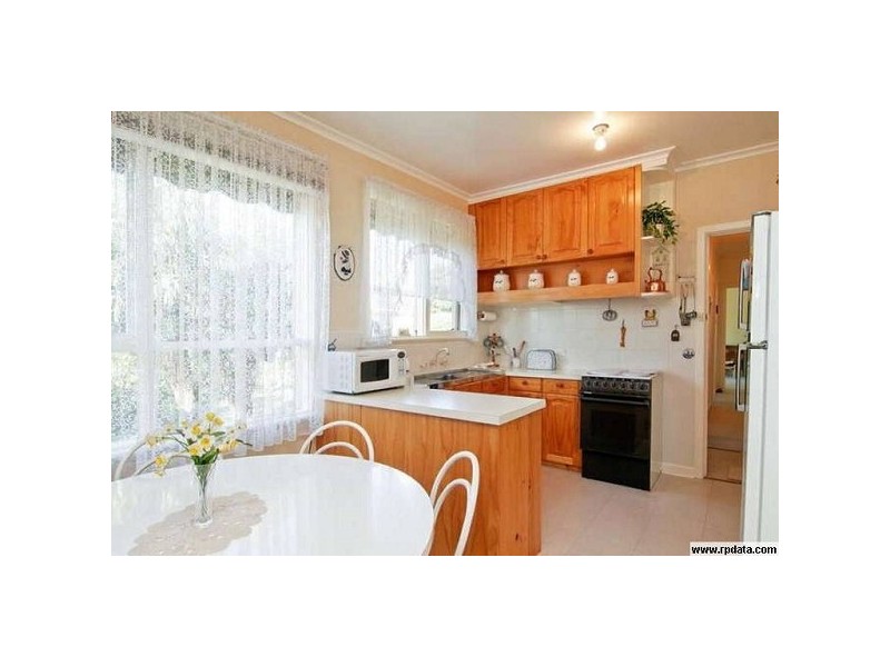 13 Shafer Road, Blackburn North VIC 3130