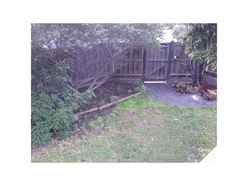 484 Middleborough Road, Blackburn VIC 3130