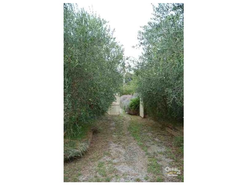 19 Farleigh Ave, Burwood VIC 3125