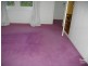 255 New Street, Brighton VIC 3186