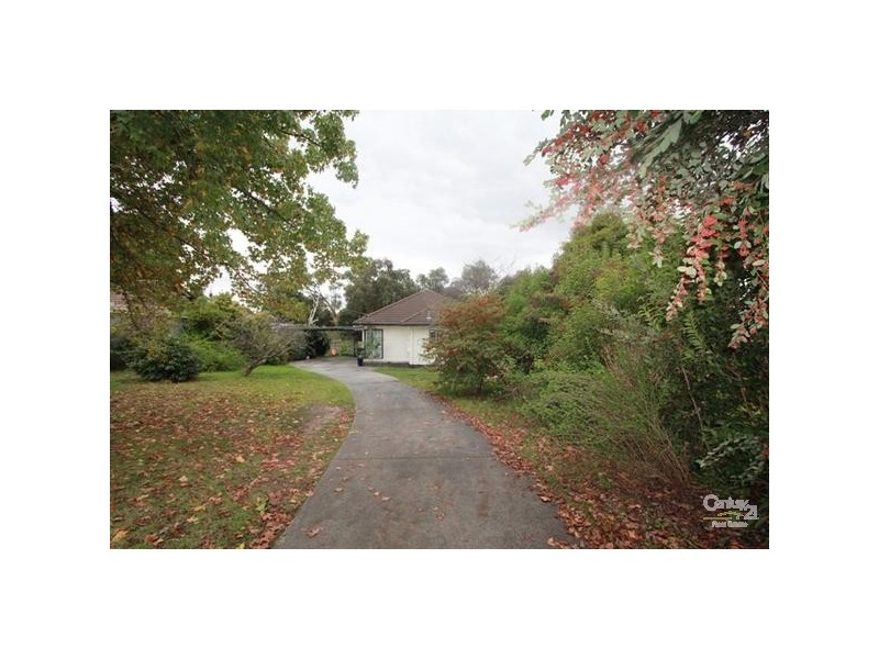 15 Ireland Street, Ringwood VIC 3134