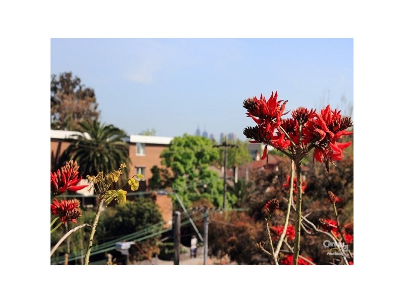 14/87 Alma Road, St Kilda East VIC 3183