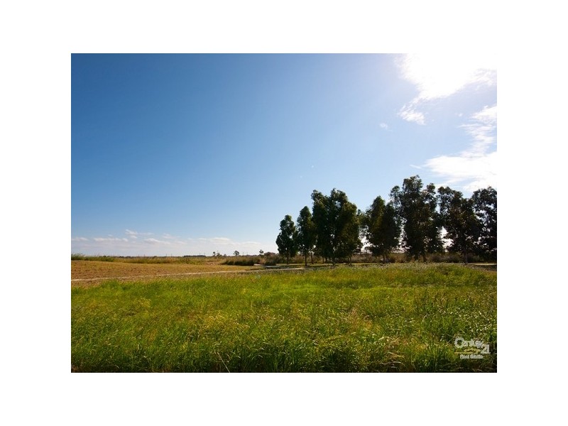 164 Patterson Drive, Lynbrook VIC 3975