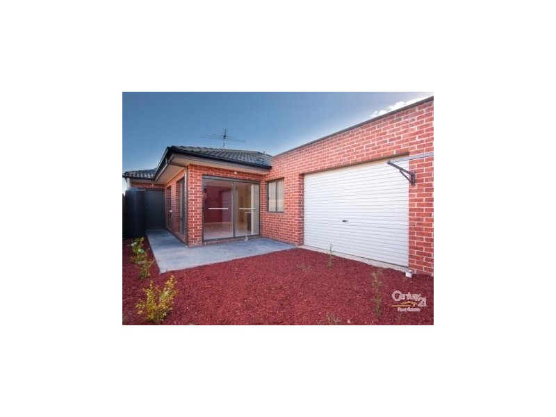 46 Hal Porter Tce, Lynbrook VIC 3975