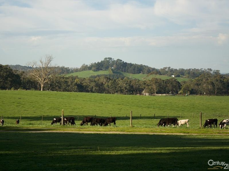 45 Minns Road, Koonwarra VIC 3954