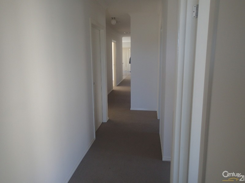 17 Paso Grove, Clyde North VIC 3978