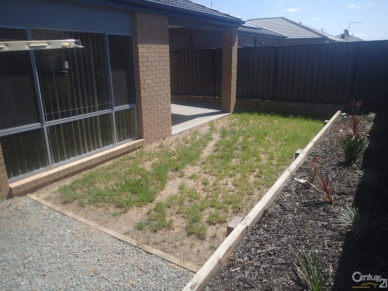 17 Paso Grove, Clyde North VIC 3978