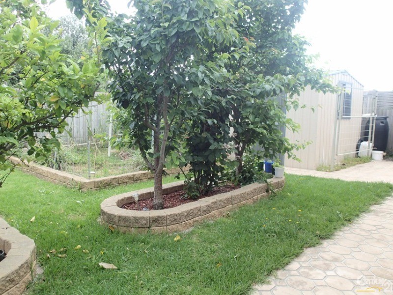 3 Castella Place, Hampton Park VIC 3976