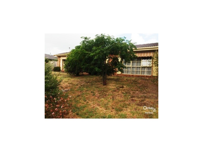 117 Oaktree Drive, Hampton Park VIC 3976