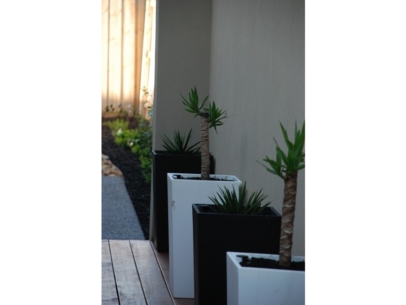 40 Wild Scotchman Way, Cranbourne East VIC 3977