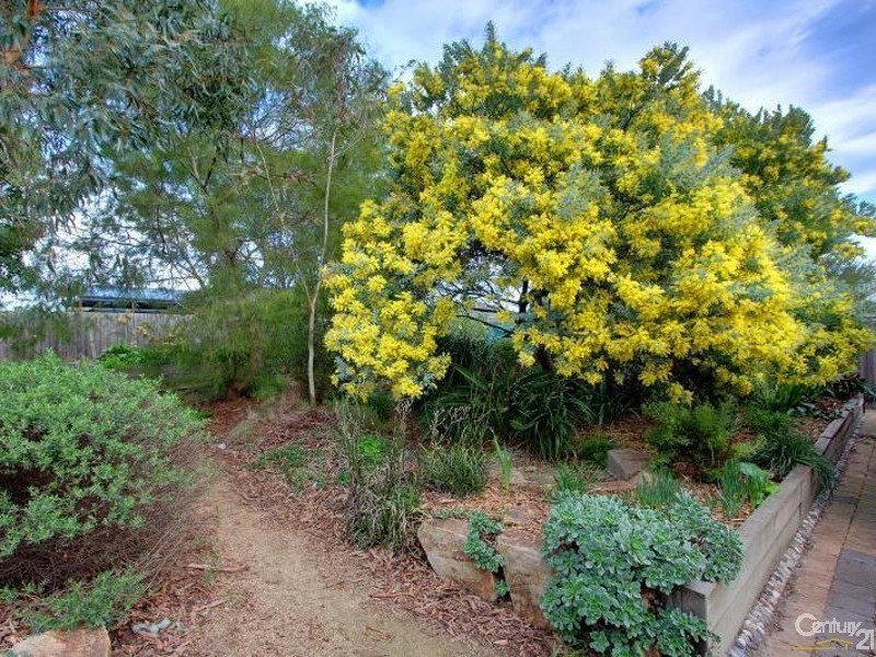 7 Matthew Circuit, Hastings VIC 3915