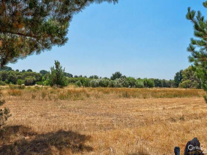 53 The Bittern Boulevard, Bittern VIC 3918