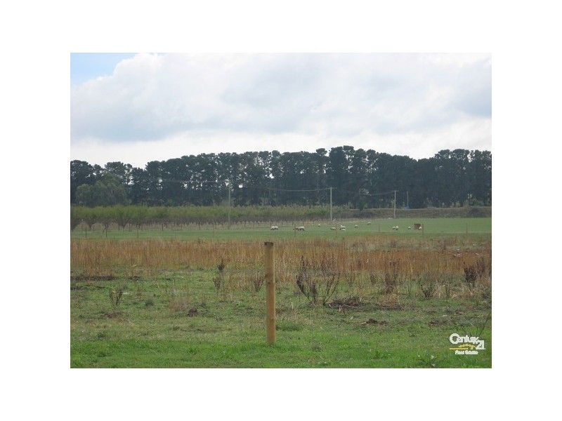 268 Hodgins Road, Hastings VIC 3915