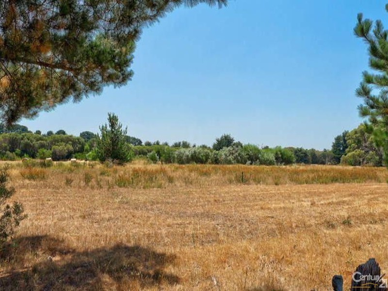 53 The Bittern Boulevard, Bittern VIC 3918