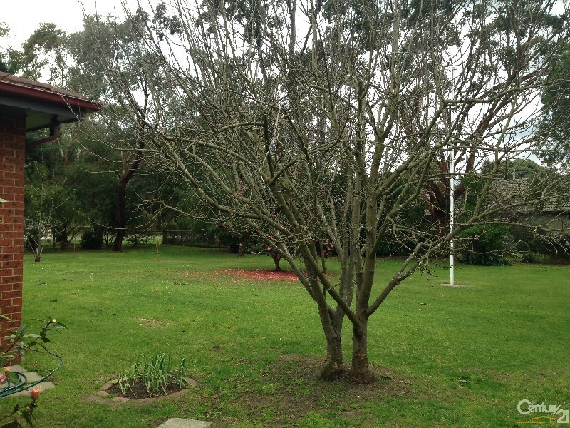 36 Stumpy Gully Road, Balnarring VIC 3926