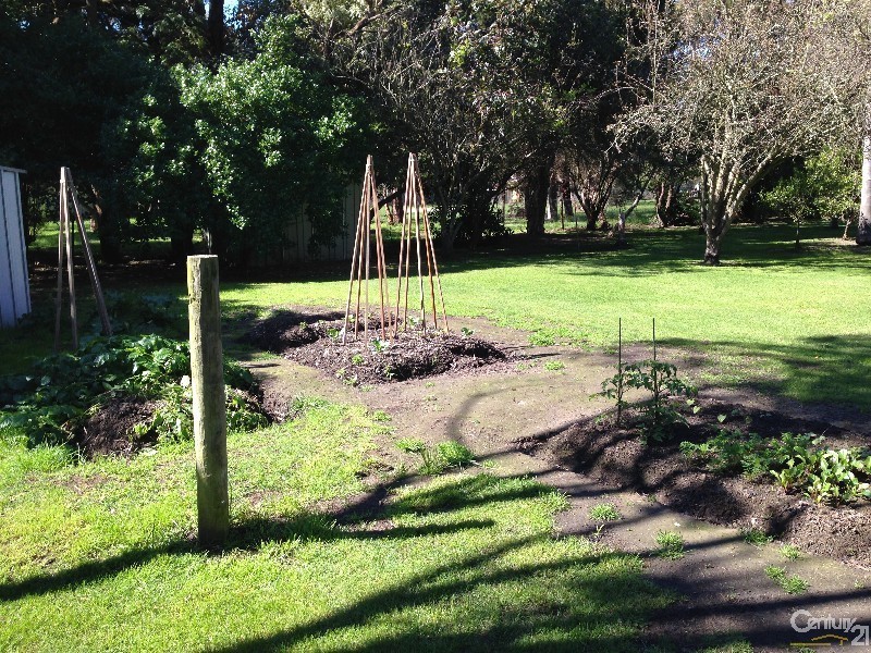 36 Stumpy Gully Road, Balnarring VIC 3926