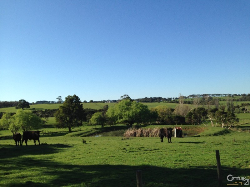 111 Point Leo Road, Red Hill South VIC 3937