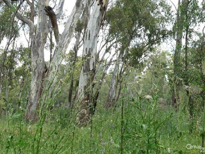 French Island VIC 3921