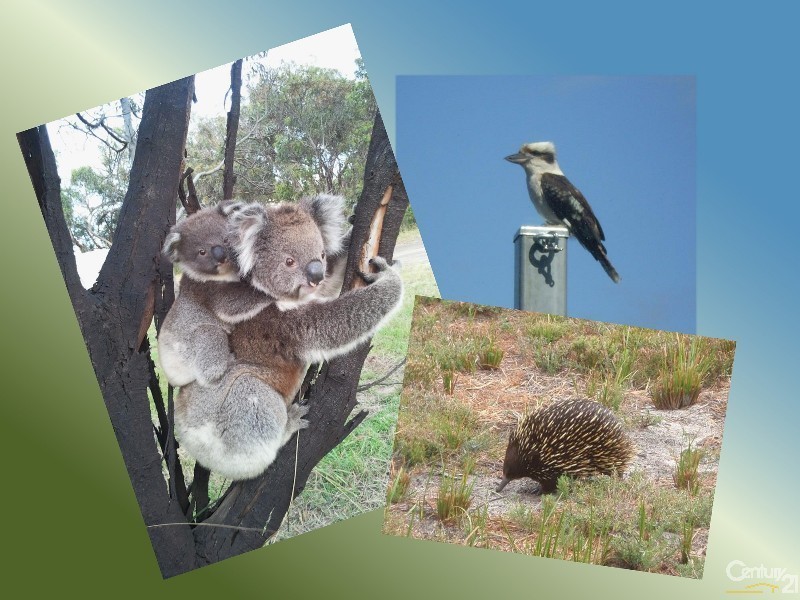 170 Coast Road, French Island VIC 3921