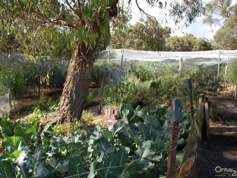 1  McLeod Road, French Island VIC 3921