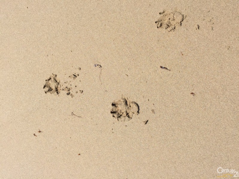 114 Bayview Road, Merricks Beach VIC 3926