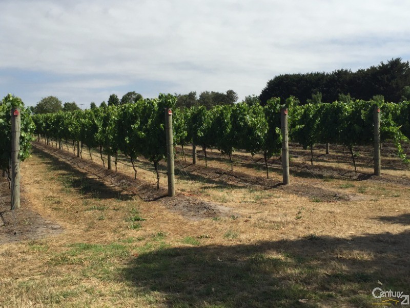 114 Bayview Road, Merricks Beach VIC 3926