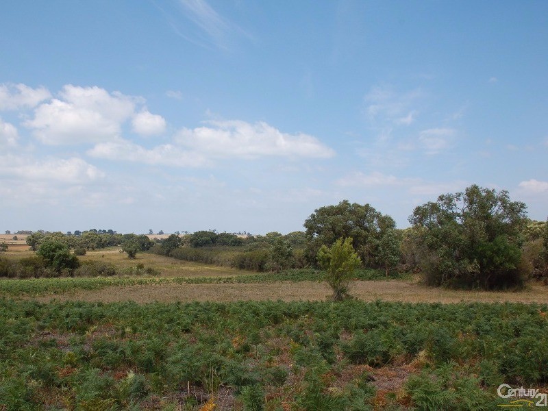 235A Mosquito Creek Road, French Island VIC 3921