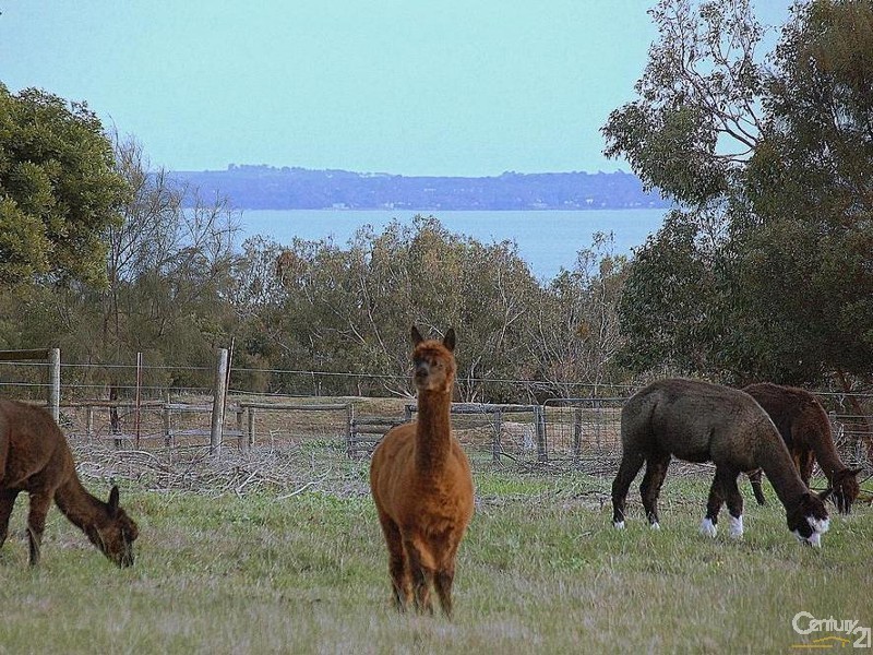 49 Ten Chain Road, French Island VIC 3921
