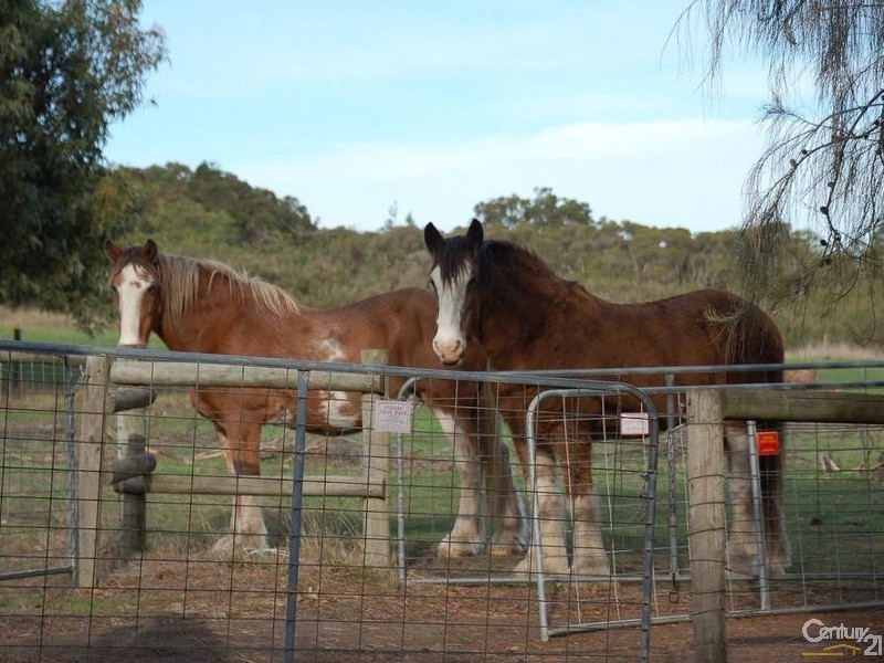 49 Ten Chain Road, French Island VIC 3921